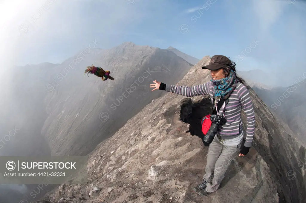 Tourist throwing offering into smoke vent of volcano, Mount Bromo, Bromo Tengger Semeru N.P., East Java, Indonesia