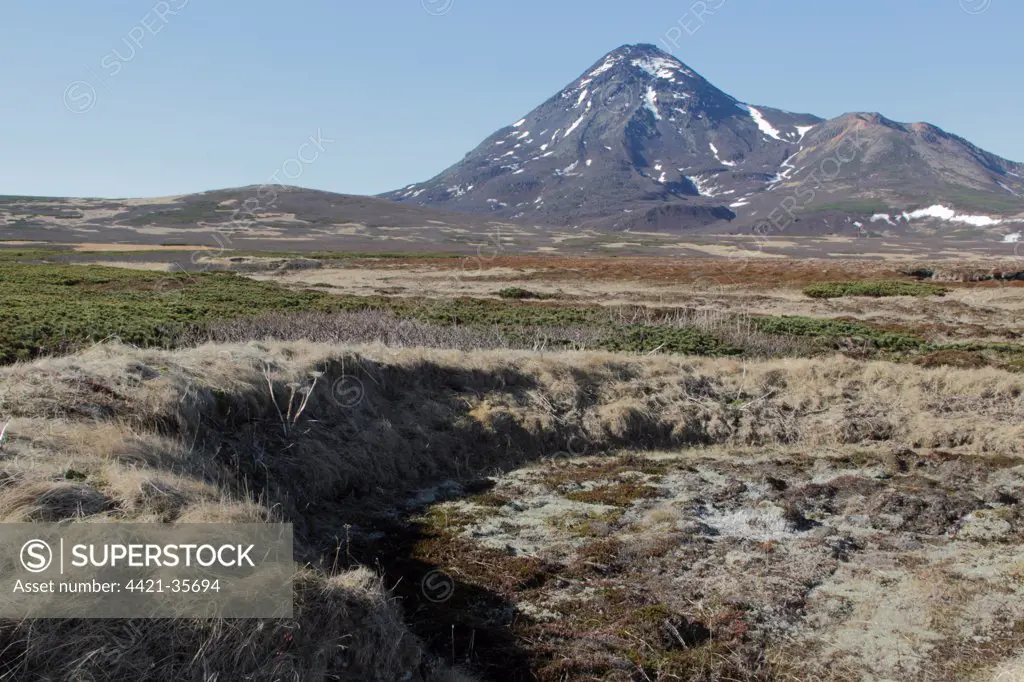 Foundations of Ainu dwelling and tundra on volcanic island, Onekotan Island, Kuril Islands, Sea of Okhotsk, Sakhalin Oblast, Russian Far East, Russia, june