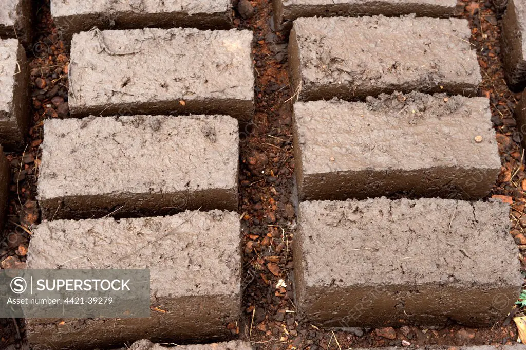 Mud bricks, for use on new house, Rwanda