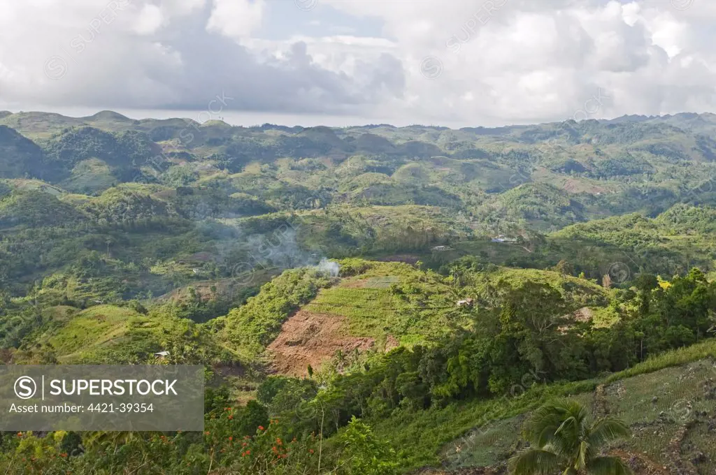 Slash and burn forest clearance and farming on hills, Alcoy Forest, Cebu Island, Philippines