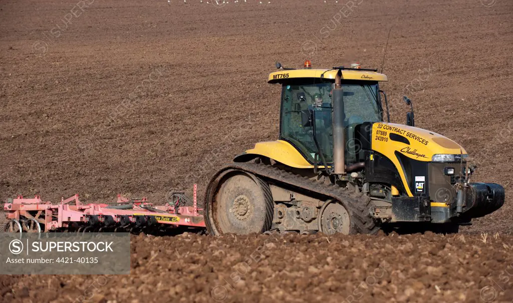 Caterpillar Challenger tracked tractor, cultivating seedbed, Scotland, september