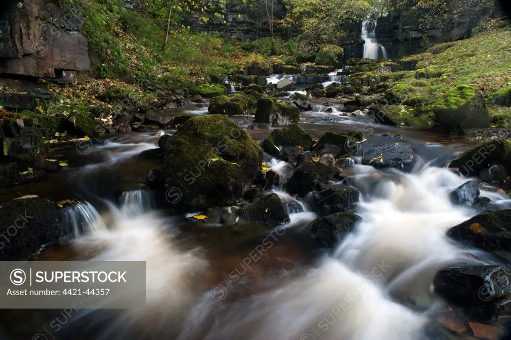 Fast-flowing river, cascades and waterfall, Scar House Falls, between Thwaite and Muker, Swaledale, Yorkshire Dales N.P., North Yorkshire, England, November