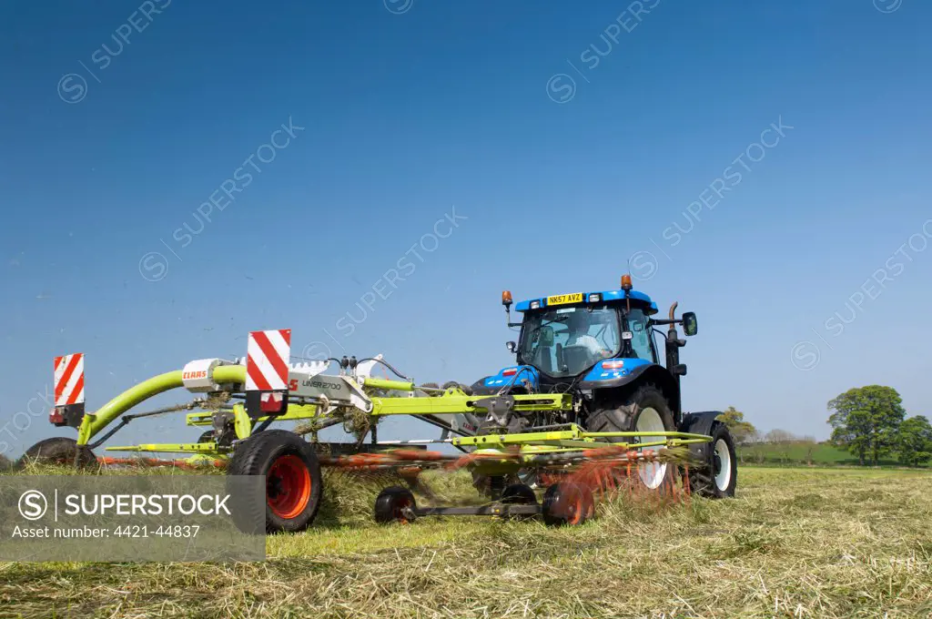 New Holland tractor with Claas grass rake, rowing grass up in silage field, Northumberland, England, May