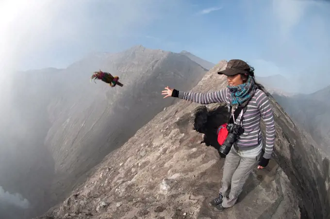 Tourist throwing offering into smoke vent of volcano, Mount Bromo, Bromo Tengger Semeru N.P., East Java, Indonesia