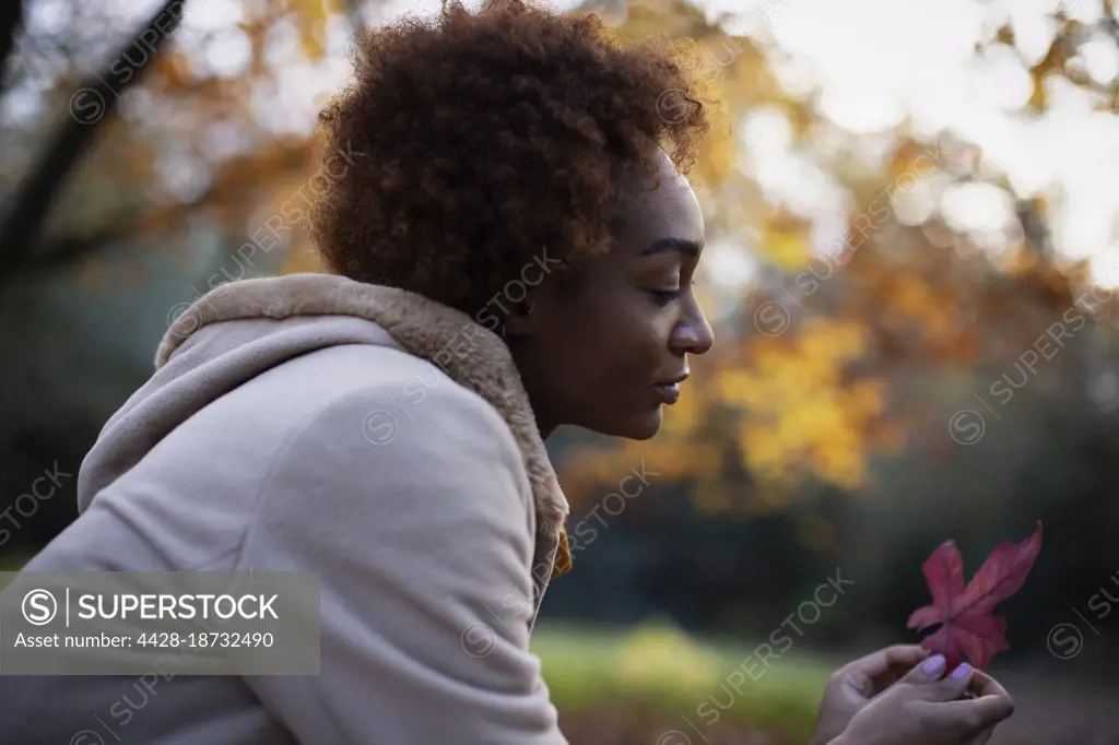 Young woman looking at red autumn leaf in park