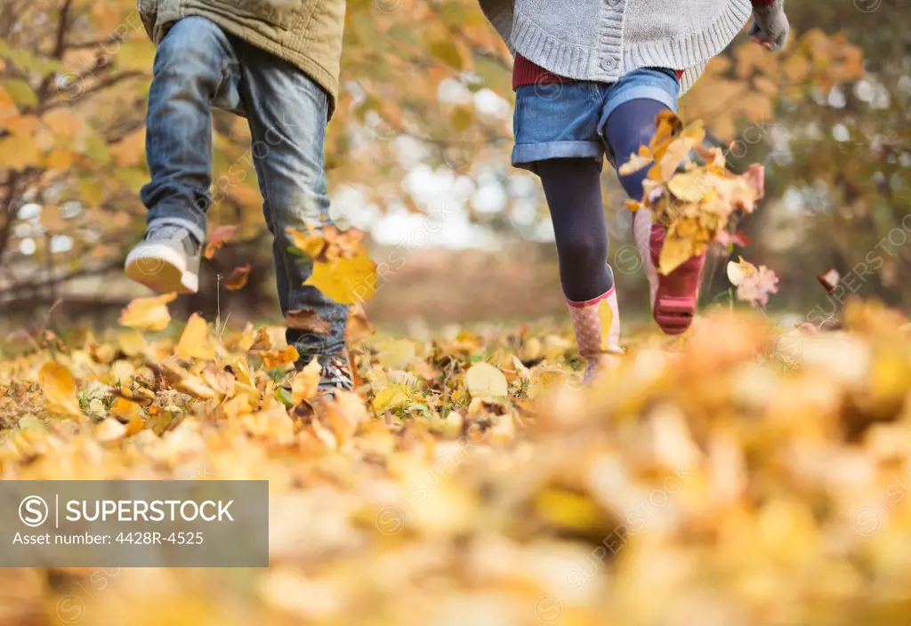 Children walking in autumn leaves,London, UK