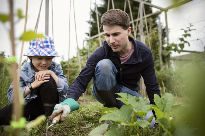 Father and son gardening in vegetable garden