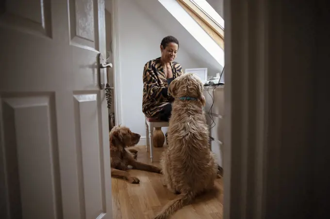 Dogs watching woman working from home in home office doorway