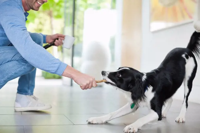 Man playing with dog in kitchen,Guildford, UK