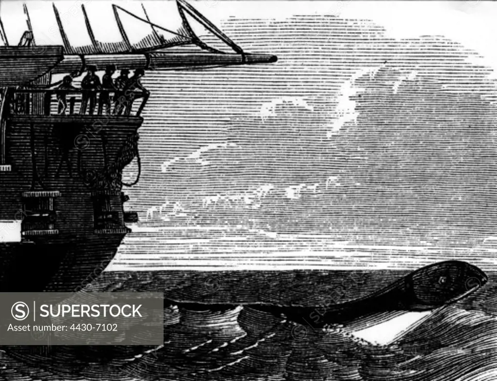 superstition mythical creatures sea serpent sighted in the South Atlantic Ocean August 1848 wood engraving after drawing by Capitain McQuhae frigate HMS ""Daedalus"",