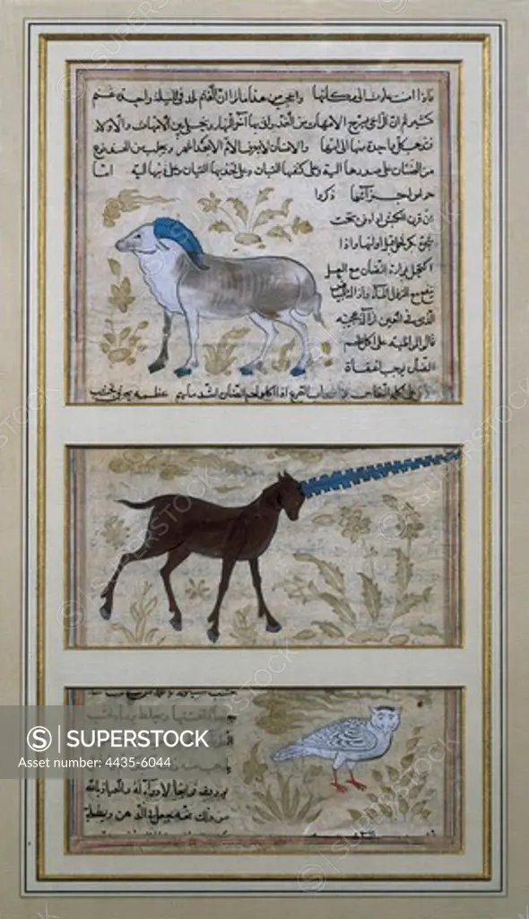 The Three Symbolic Animals of Alchemy. Islamic art. Miniature Painting. FRANCE. ëLE-DE-FRANCE. Paris. National Library.