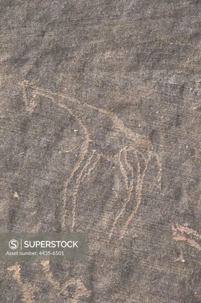 LIBYA. Tadrart Acacus. Carving on the rock depicting a giraffe (12.000-8000 BC). Neolithic art. Petroglyph.