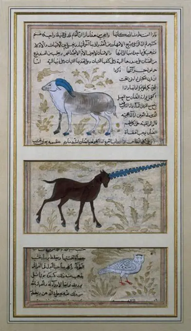 The Three Symbolic Animals of Alchemy. Islamic art. Miniature Painting. FRANCE. ëLE-DE-FRANCE. Paris. National Library.