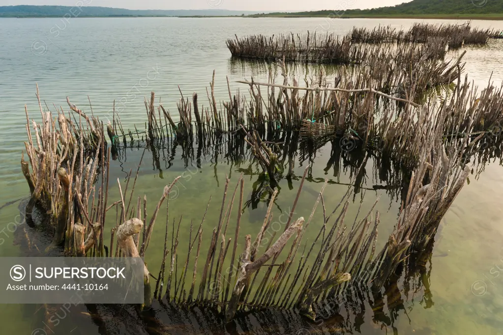 Kosi Bay Fish Trap Tour