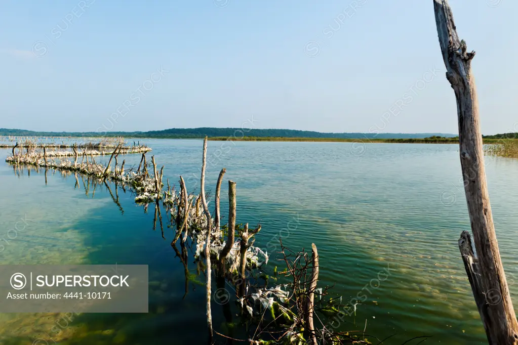 Kosi Bay Fish Trap Tour