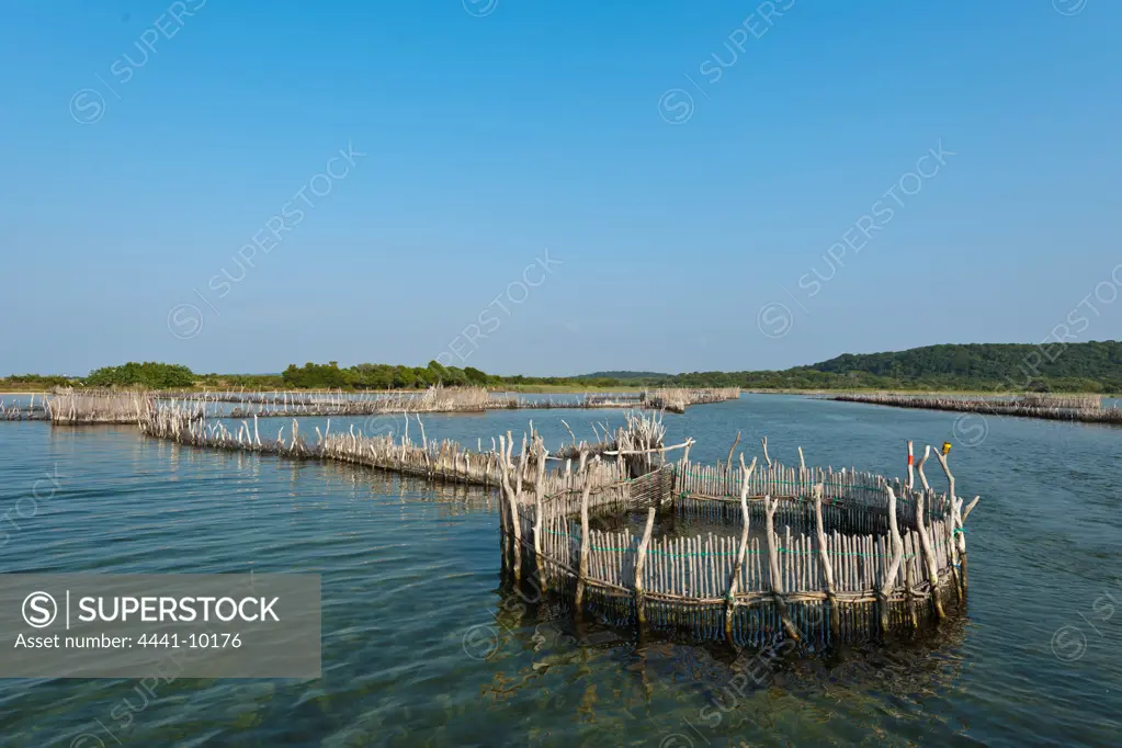 Traditional Fish Traps in Lake Kuhlange at Kosi Bay. Manguzi (Kwangwanase). Isimangaliso Wetland Park (Greater St Lucia Wetland Park. KwaZulu Natal. South Africa