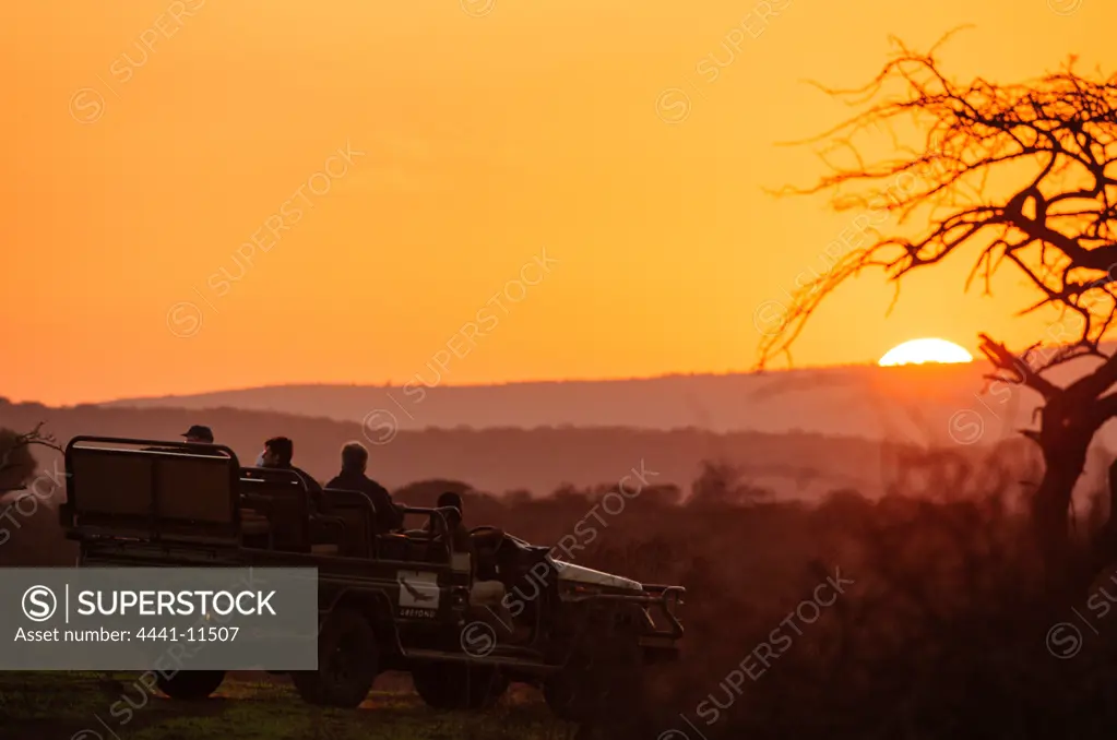 Game drive at sunset. Phinda / Munyawana / Zuka Game Reserve.  KwaZulu Natal. South Africa