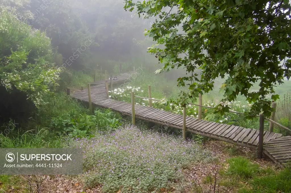 Foot bridge at Nottingham Road. KwaZulu Natal Midlands. South Africa