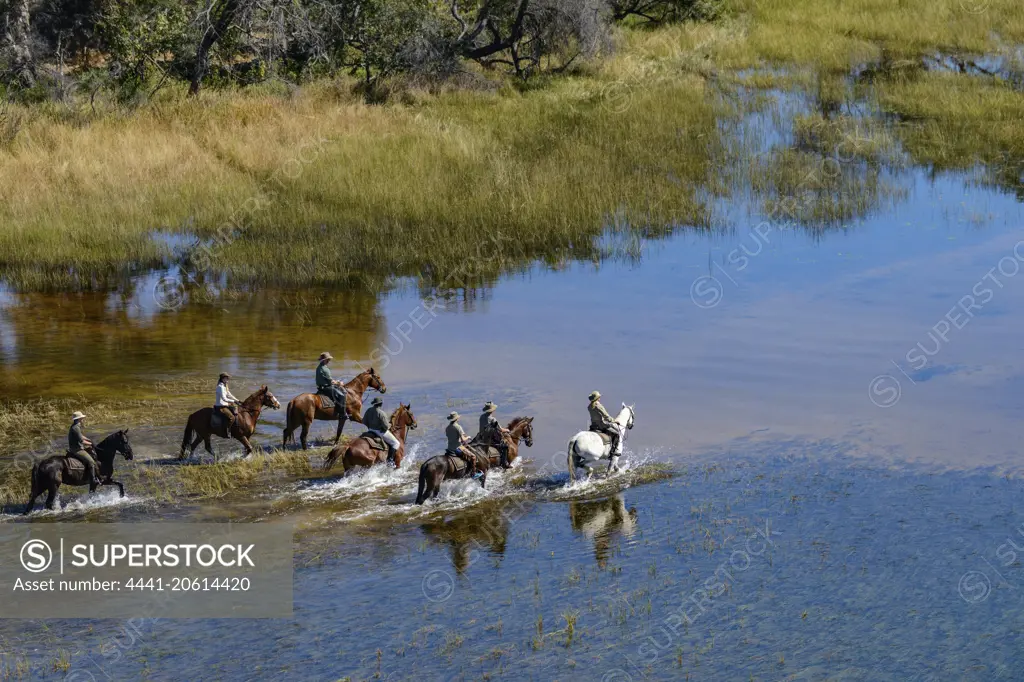 Horseback riding safari with African Horseback Safaris. Okavango Delta. Botswana