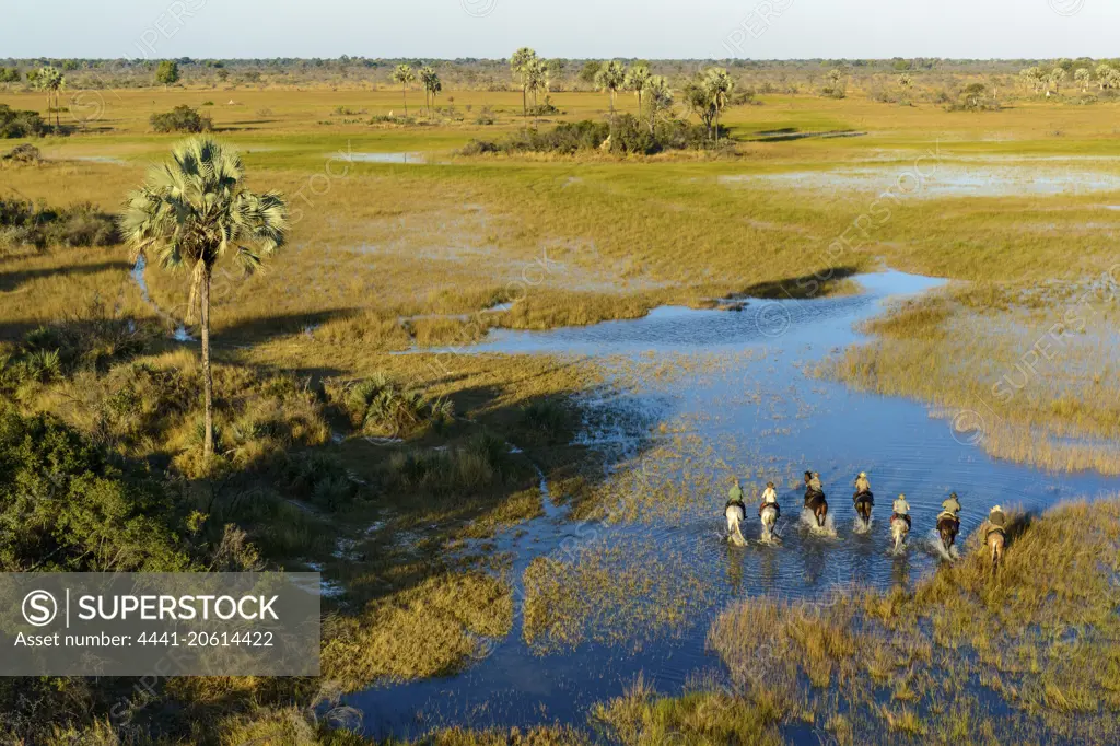 Horseback riding safari with African Horseback Safaris. Okavango Delta. Botswana