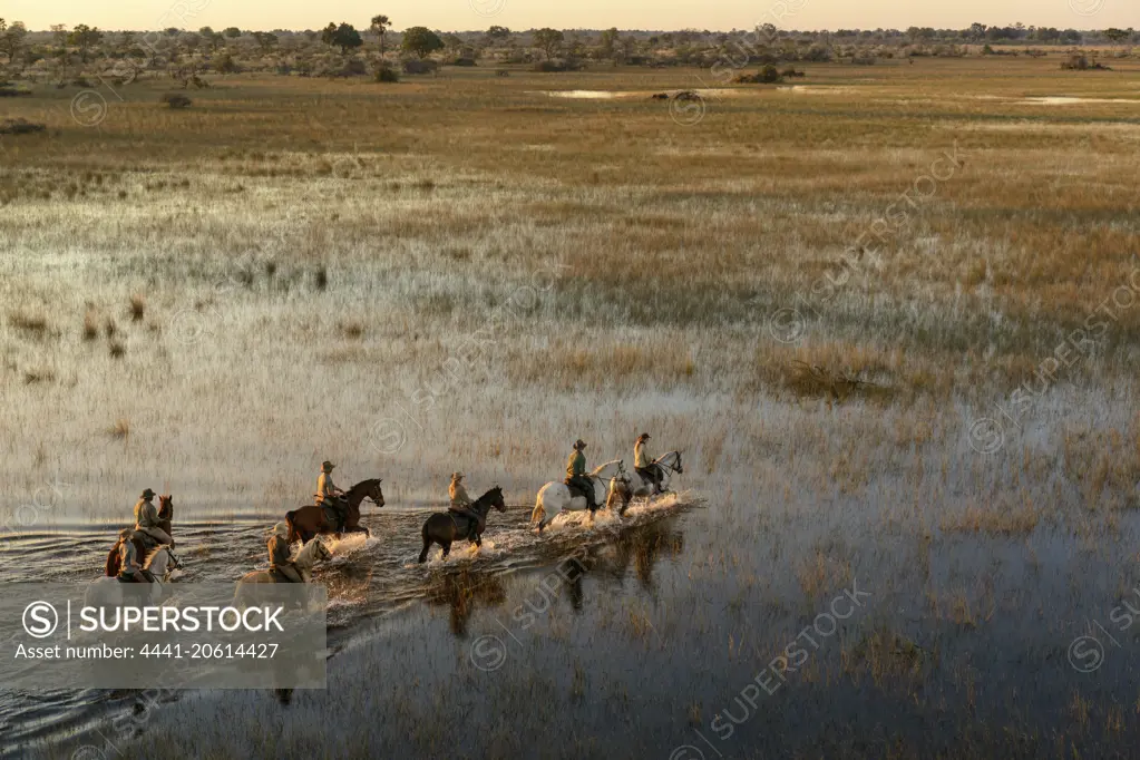 Horseback riding safari with African Horseback Safaris. Okavango Delta. Botswana