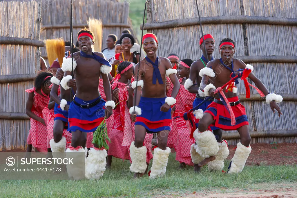 Swazi dancing. Ebutsini Cultural Village. Near Barbeton. Mpumalanga. South Africa.