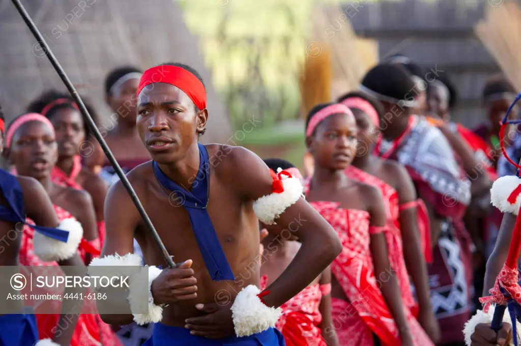 Swazi dancing. Ebutsini Cultural Village. Near Barbeton. Mpumalanga. South Africa.