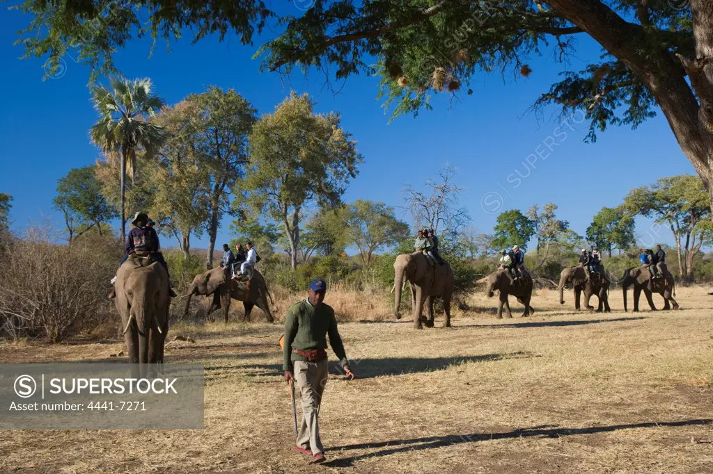 Elephant Back Safari. Victoria Falls. Zimbabwe