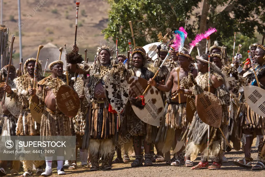 Zulu men in traditional dress at the Zulu Reed Dance. eNyokeni Royal Palace. Nongoma. KwaZulu Natal. South Africa