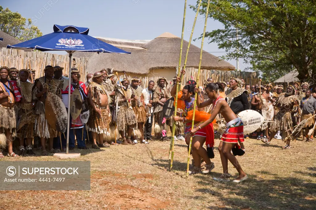 King Goodwill Zwelithini receives reeds from his daughters as  symbols of their virginity. Zulu Reed Dance. eNyokeni Royal Palace. Nongoma. KwaZulu Natal. South Africa