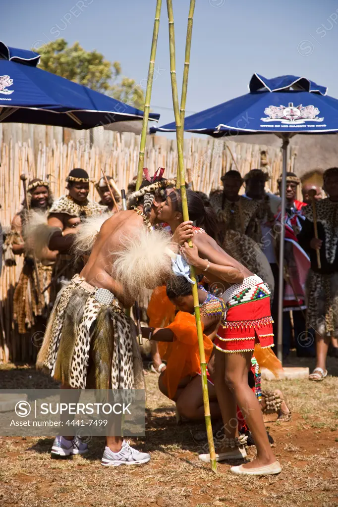 King Goodwill Zwelithini receives reeds from his daughters as  symbols of their virginity. Zulu Reed Dance. eNyokeni Royal Palace. Nongoma. KwaZulu Natal. South Africa