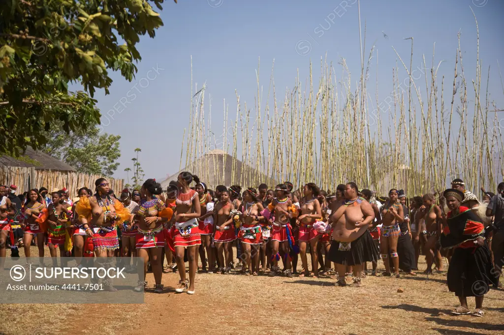 Zulu girls in traditional dress, having delivered reeds to King Goodwill Zwelenthini, move past the Royal entourage. Zulu Reed Dance. eNyokeni Royal Palace. Nongoma. KwaZulu Natal. South Africa