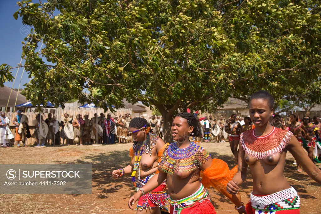 Zulu girls in traditional dress, having delivered reeds to King Goodwill Zwelenthini, move past the Royal entourage. Zulu Reed Dance. eNyokeni Royal Palace. Nongoma. KwaZulu Natal. South Africa