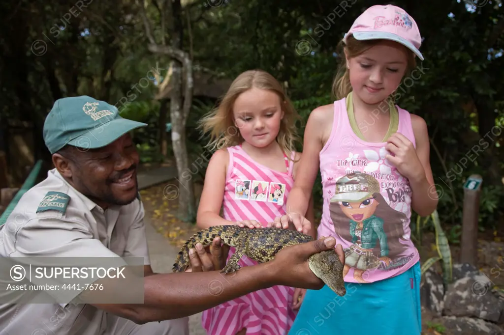 Visitors to the KwaZulu Natal Wildlife crocodile Centre touching a crocodile hatchling. Isimangaliso Wetland Park (Greater St Lucia Wetland Park). KwaZulu Natal. South Africa