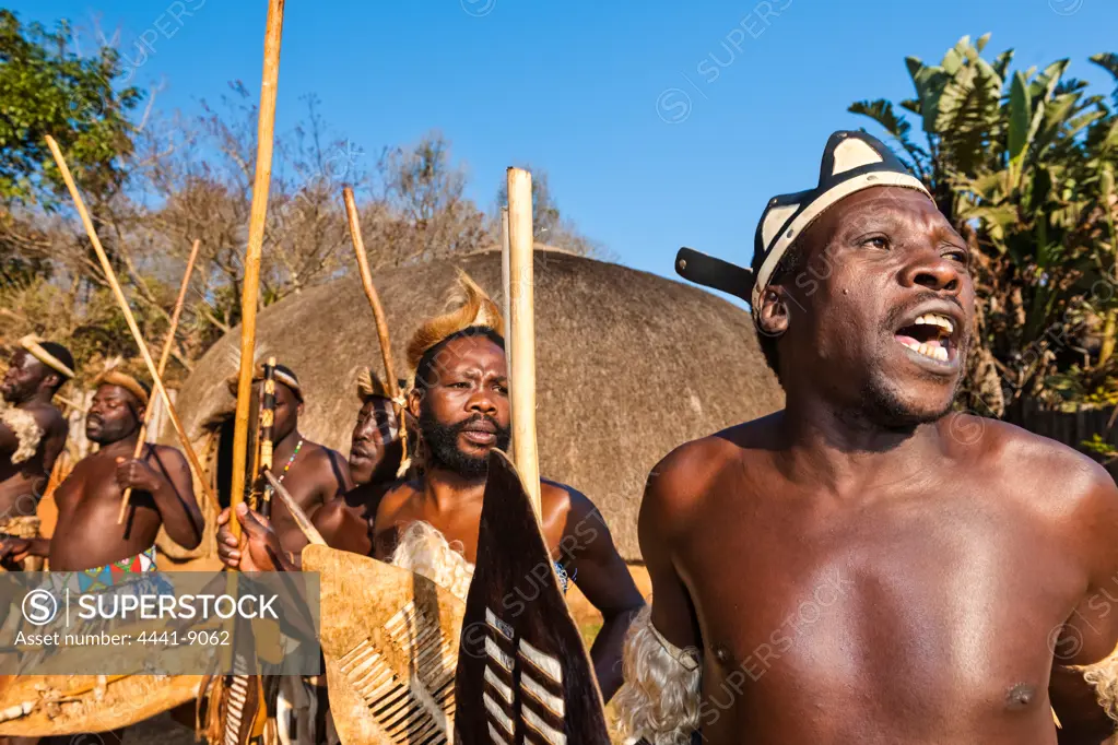 Zulu men (warriors) dancing. PheZulu Village. Bothas Hill. KwaZulu Natal. South Africa.