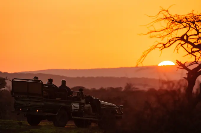 Game drive at sunset. Phinda / Munyawana / Zuka Game Reserve.  KwaZulu Natal. South Africa