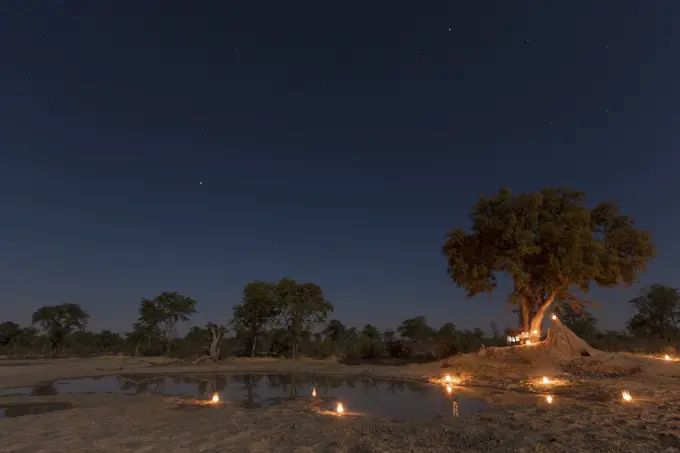 Waterhole entertainment. Macatoo Camp. African Horseback Safaris. Okavango Delta. Botswana