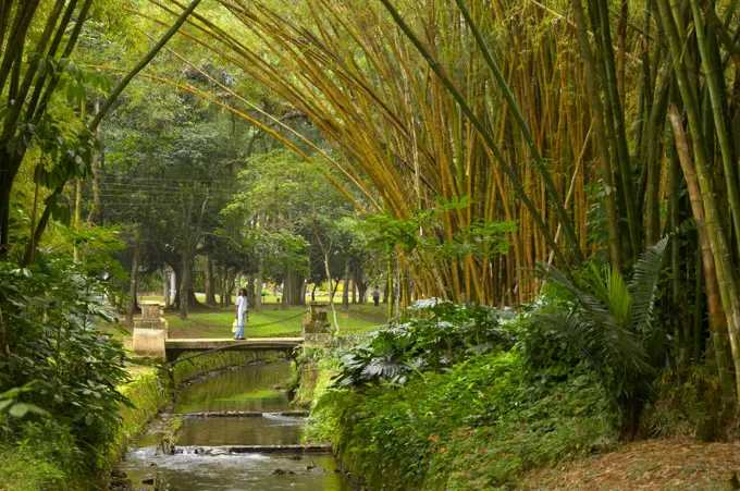 Botanical Gardens. Rio de Janeiro. Brazil