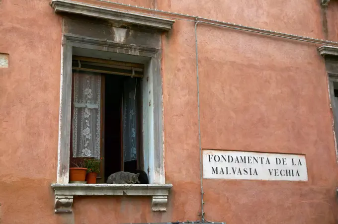 Cats in a window. Venice. Italy