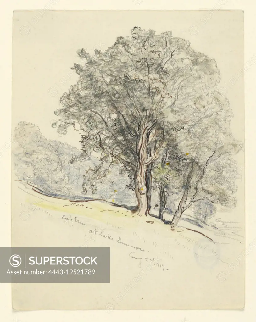 Sketch & Show Standing Sketchbook – Gum Tree