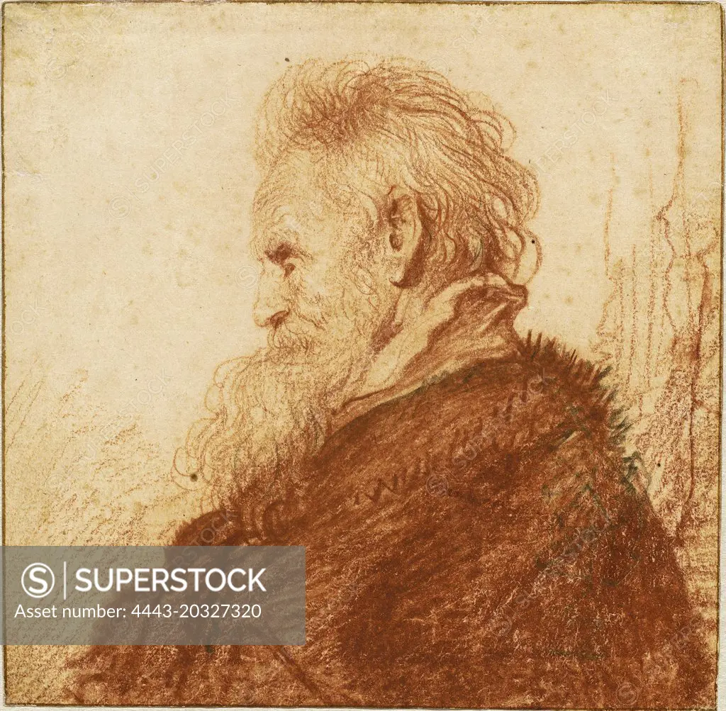 Rembrandt van Rijn (Dutch, 1606 - 1669), Head of an Old Man, c. 1631, red  chalk, with touches of black chalk, on laid paper - SuperStock