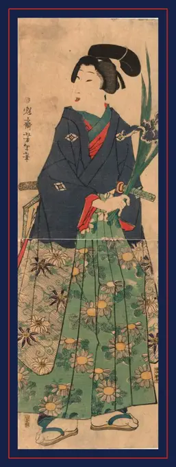 Kakitsubata o matsu wakashu, Young dandy carrying irises., Taiso, Yoshitoshi, 1839-1892, artist, 1866., 1 print : woodcut, color ; 36.3 x 23.7 cm (top panel), 34.7 x 23.7 cm (bottom panel), Print shows a full-length portrait of a man holding an iris.