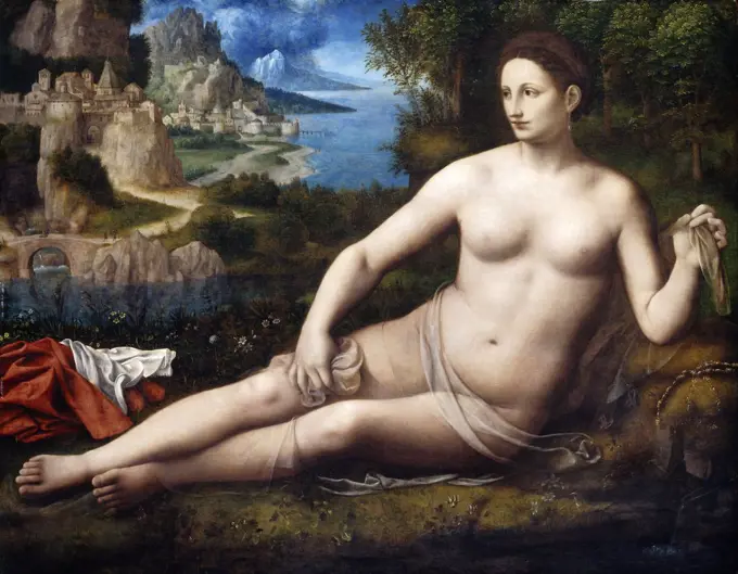 Bernardino Luini, Venus, Italian, c. 1480-1532, c. 1530, oil on panel