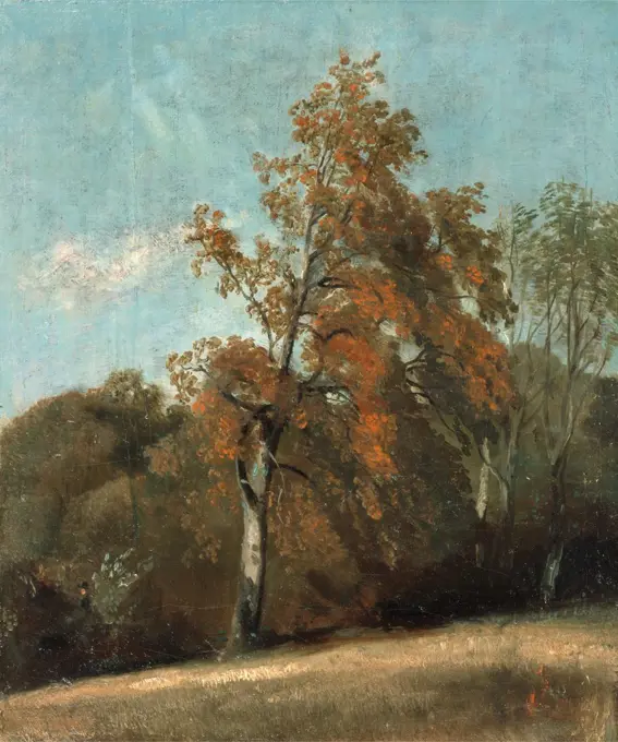 Study of an Ash Tree, John Constable, 1776-1837, British