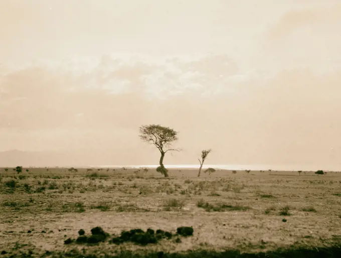 Kenya Colony. Rift Valley and en route to Nairobi. Typical valley scene. Lake Naivasha in distance. 1936, Kenya