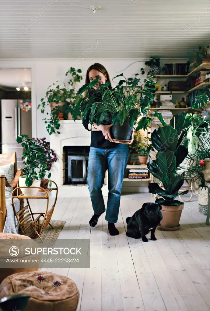 Full length of woman carrying potted plant by dog in room at home