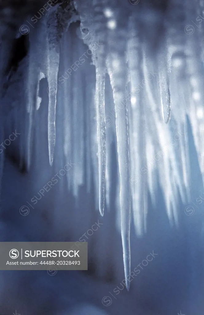 Icicle