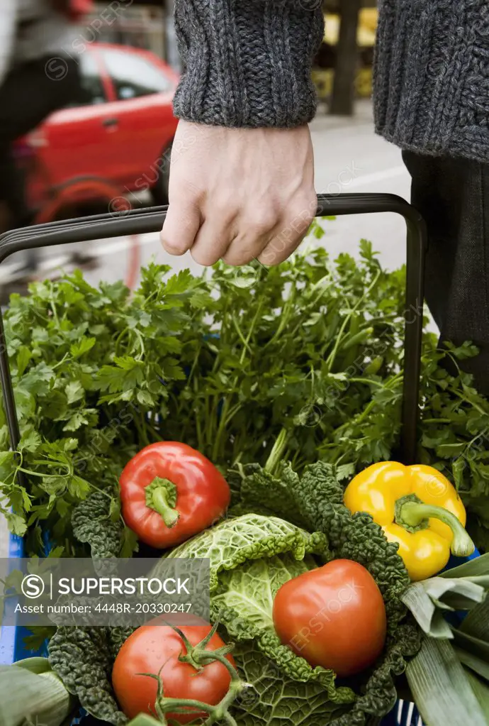 Basket with ecological vegetables