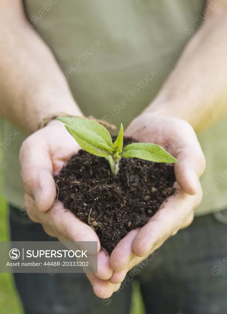 Man holding soil