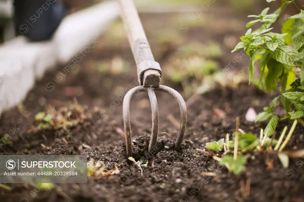 Close-up of gardening fork in dirt